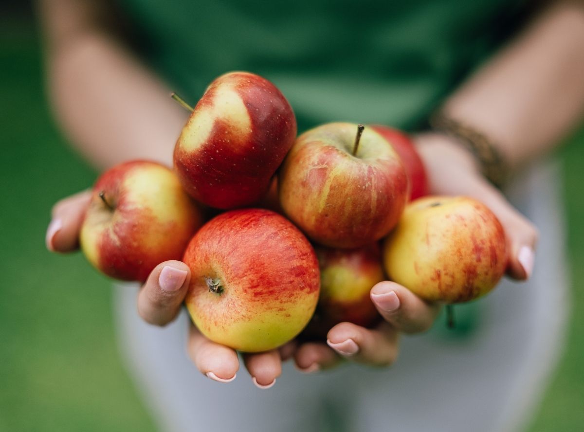 Warum der Apfel der perfekte Kindersnack ist