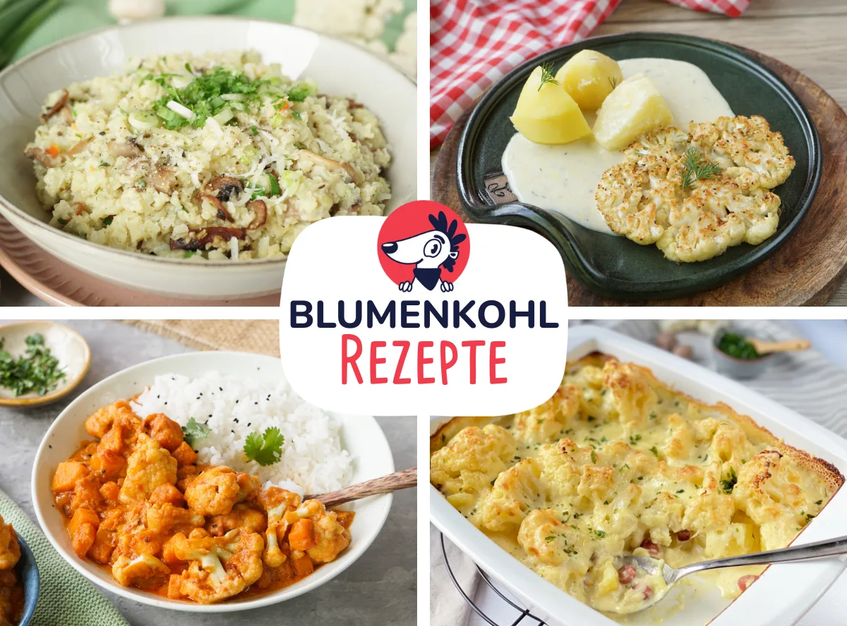 Blumenkohl Rezepte