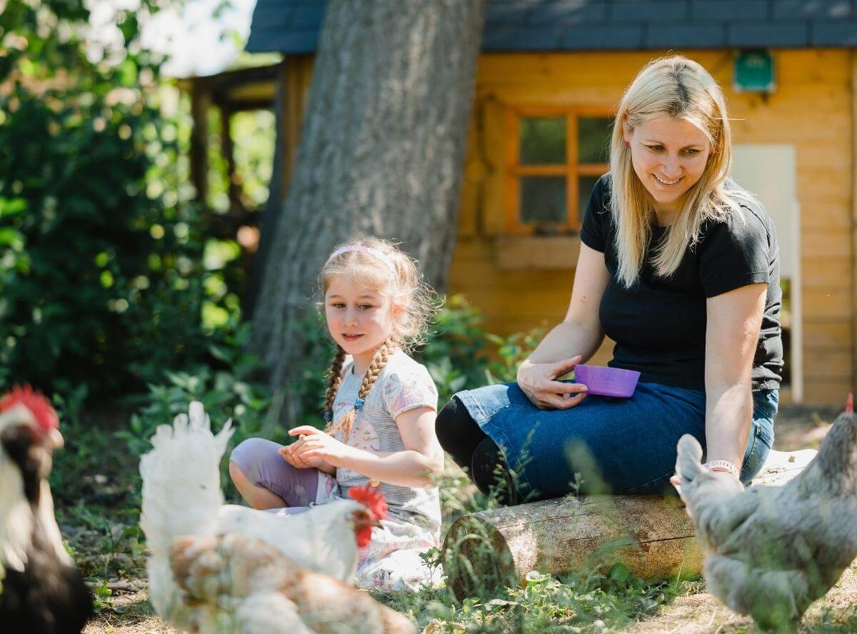 Was wir vom Leben mit Hühnern gelernt haben