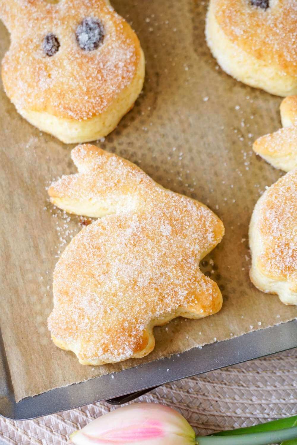 Quarkhasen – Fluffiges Rezept mit Quark-Öl-Teig