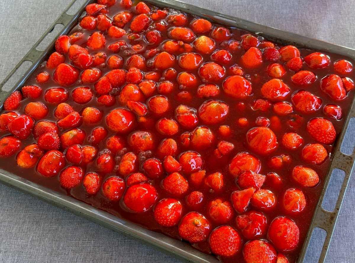 Erdbeerkuchen Blech Rezept