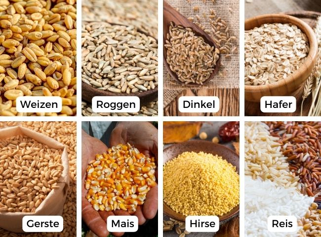 Getreidesorten &Uuml;berblick