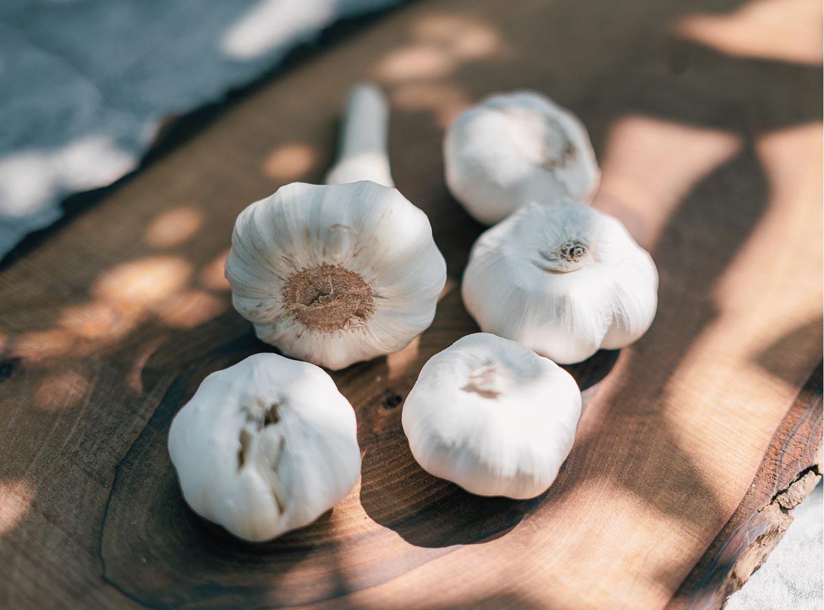 Knoblauch: Alles zur kleinen Knolle