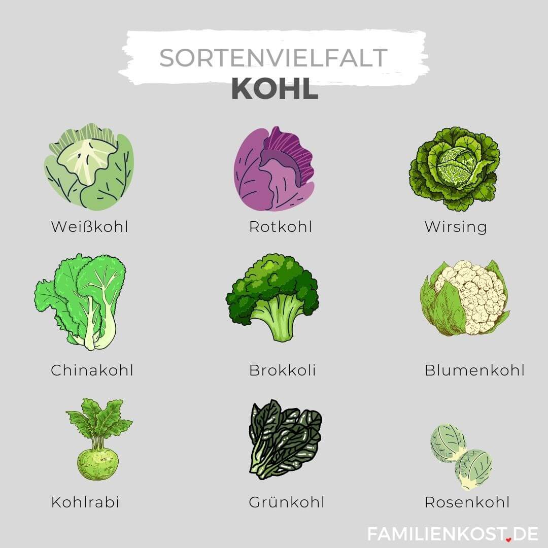 Kohl Sorten im &Uuml;berblick