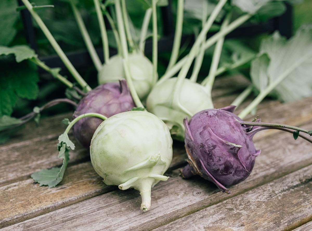 Kohlrabi: Gesunde Lieblingsknolle für die ganze Familie 