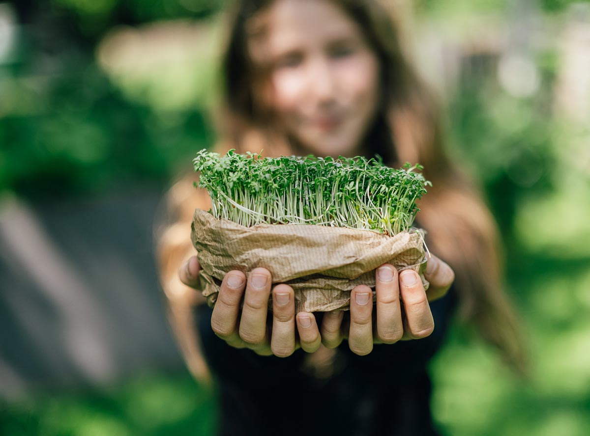 Kresse - Alleskönner für Gesundheit & Küche
