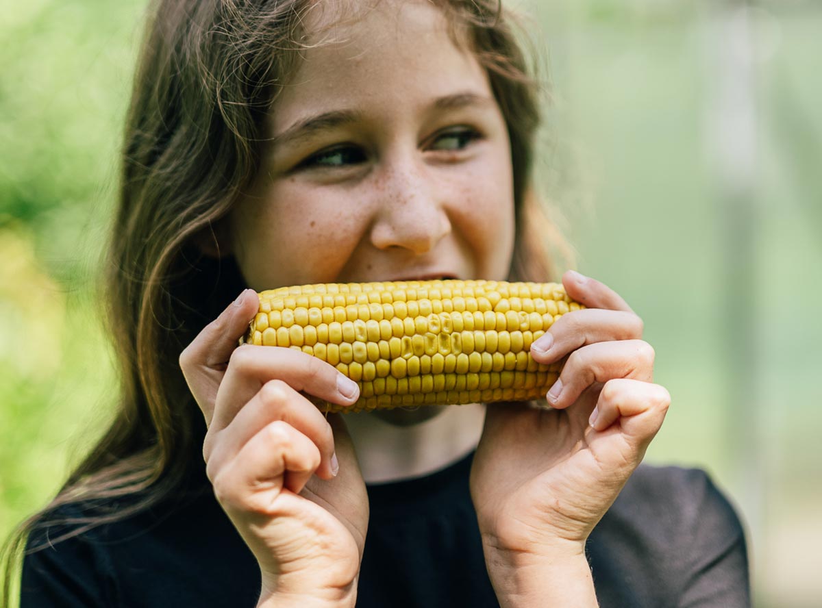 Mais: Wissenswertes & Rezepttipps