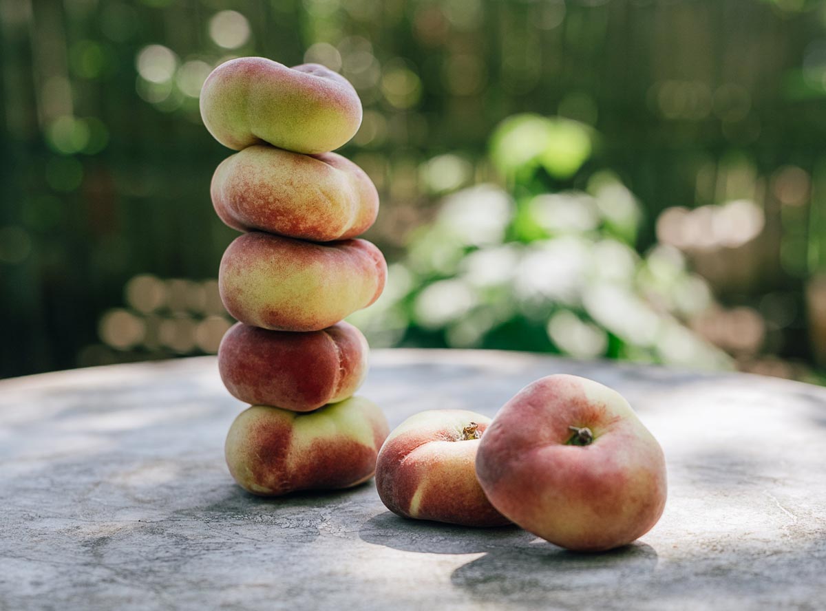 Pfirsich – süßes und saftiges Sommerobst