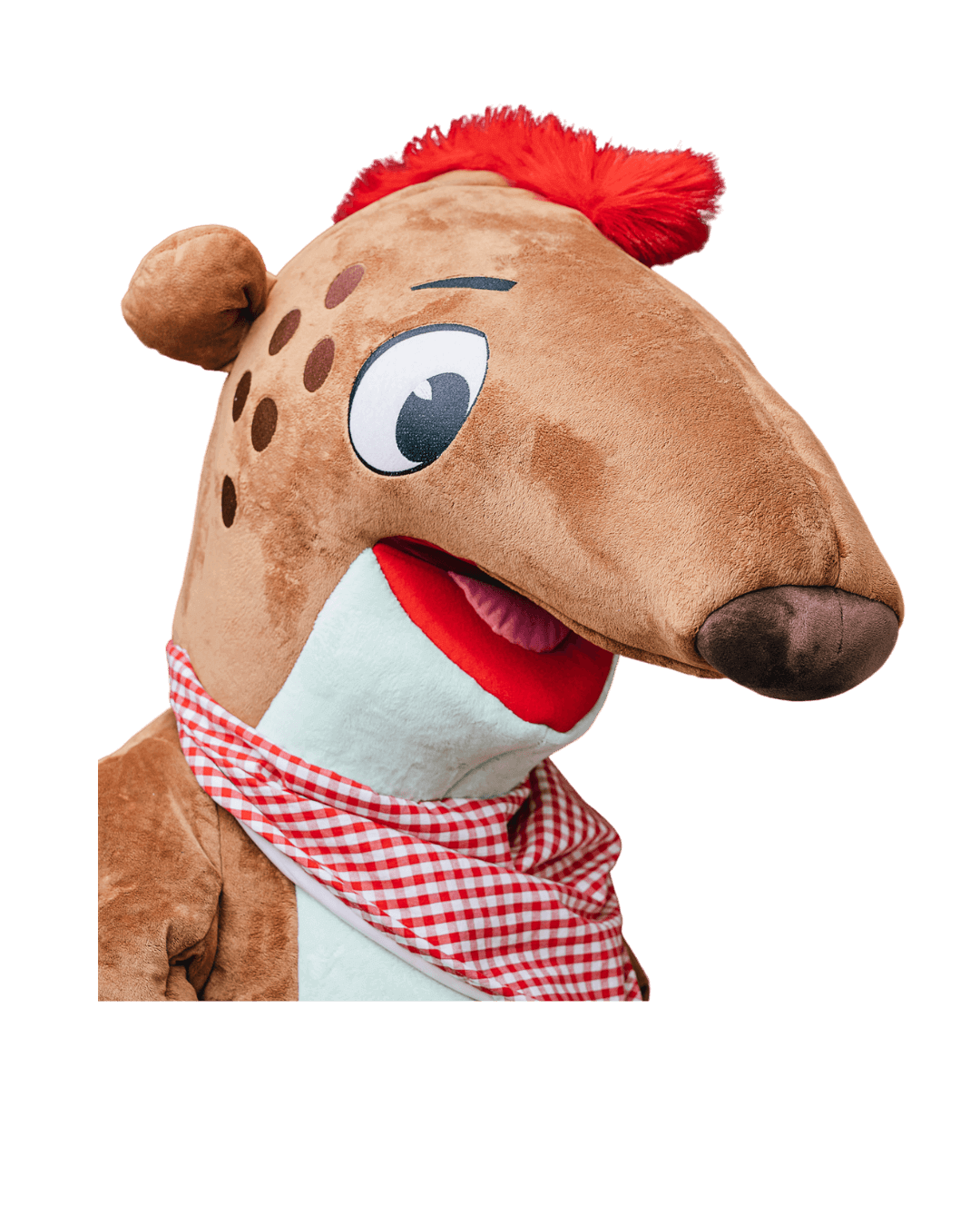 Kört von Familienkost