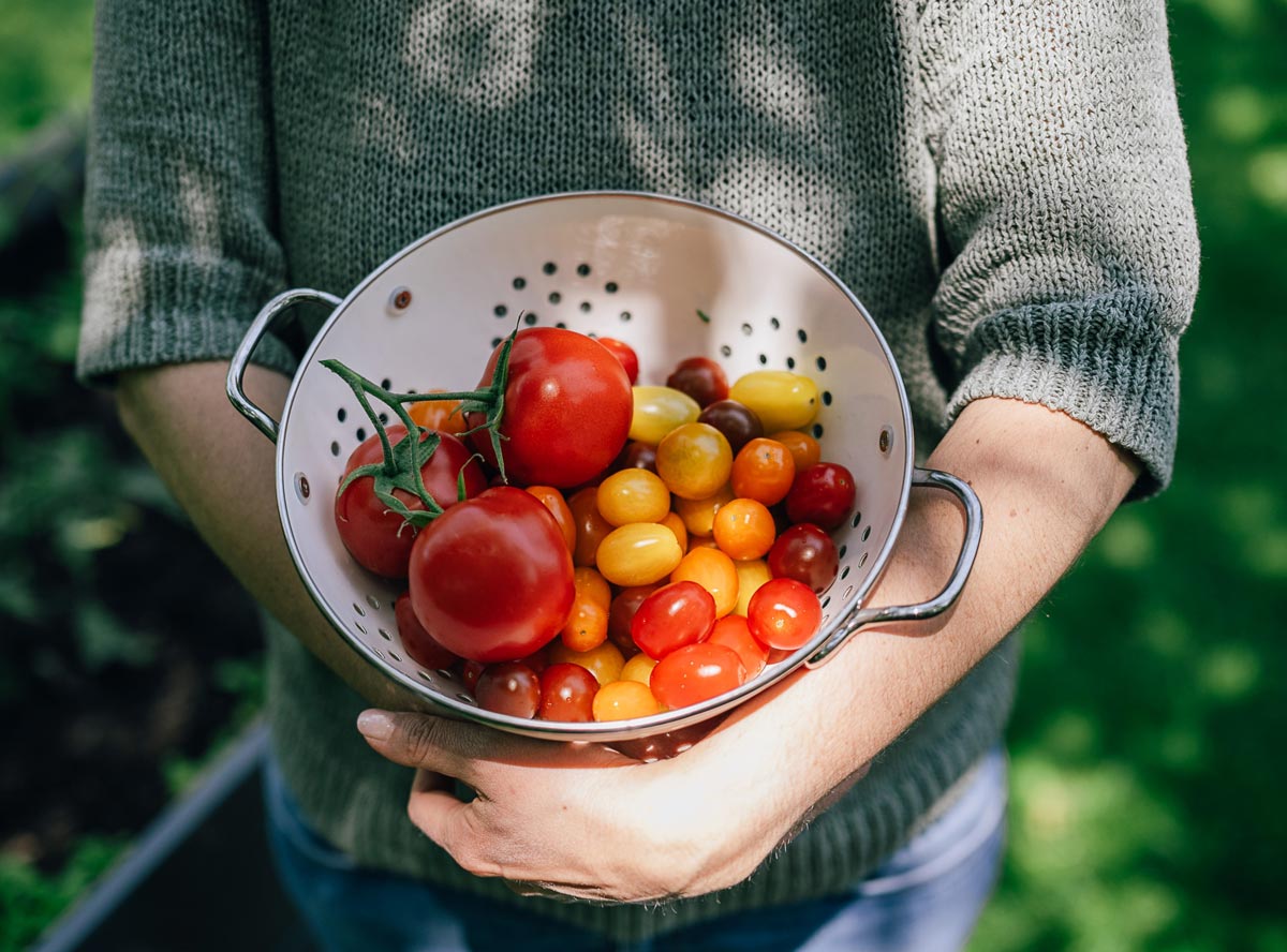 Tomaten für Kinder - was gilt es zu beachten