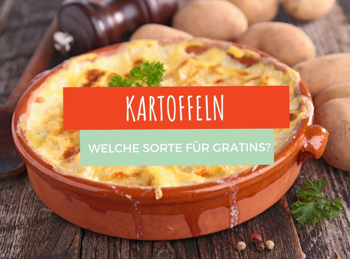Welche Kartoffeln für Gratins