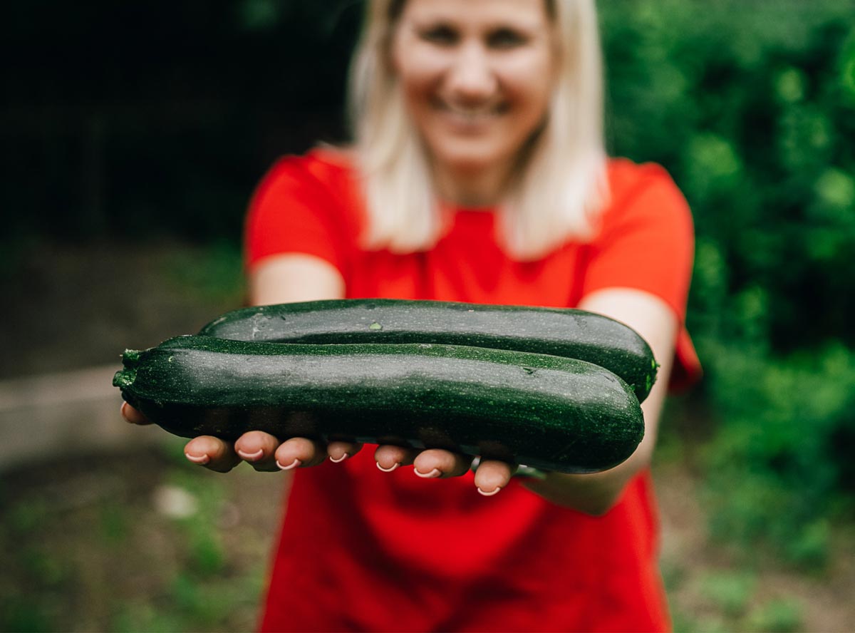 Zucchini für Kinder